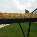 Green roof on bike rack