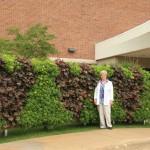 Front side of green wall with hearts