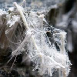 Asbestos fibers