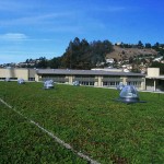 Korematsu green roof