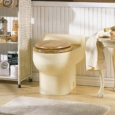 Figure 3- An example of what an Envirolet waterless composting toilet could look like in your bathroom. Who knew composting feces could be so glamorous?