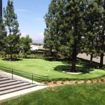 Artificial grass putting green with trees