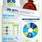 NPMA bed bugs infographic