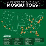 Map of mosquito cities