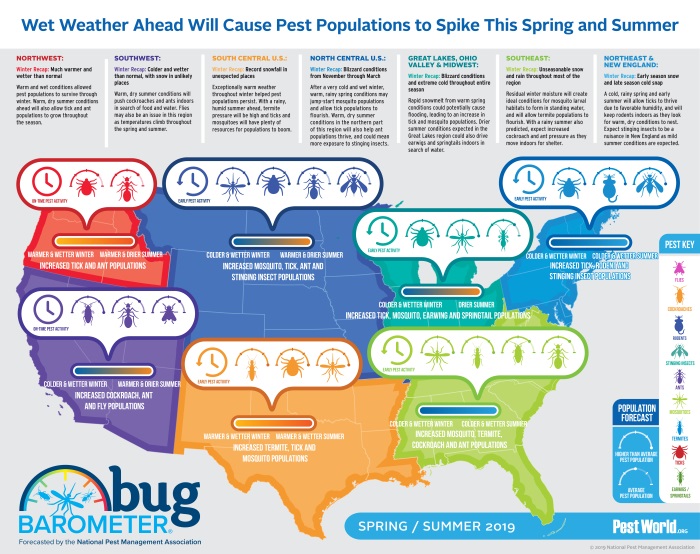 NPMA Predicts Early Pest Activity After Wet Winter