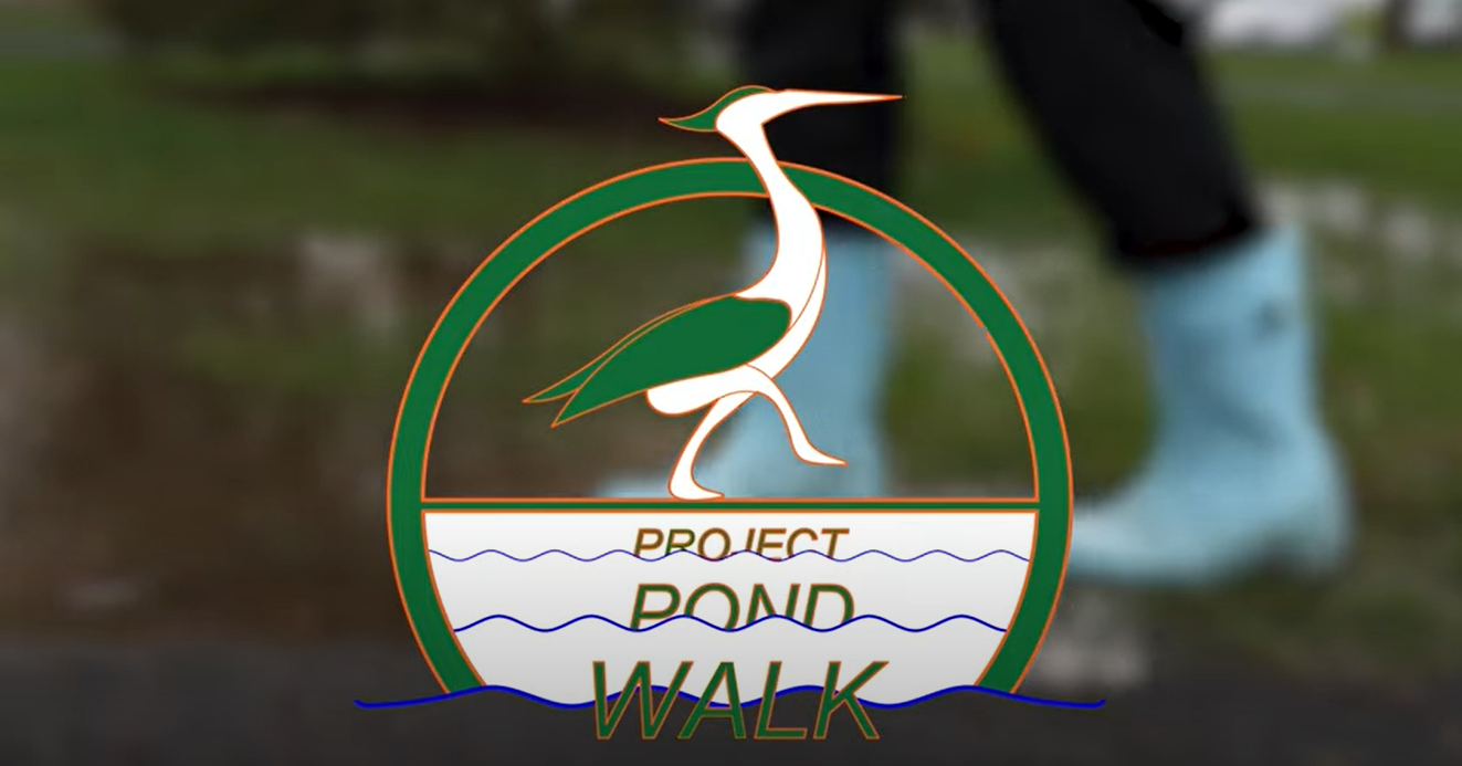 Project Pond Walk 2nd place video, with heron above title, and rainboots behind