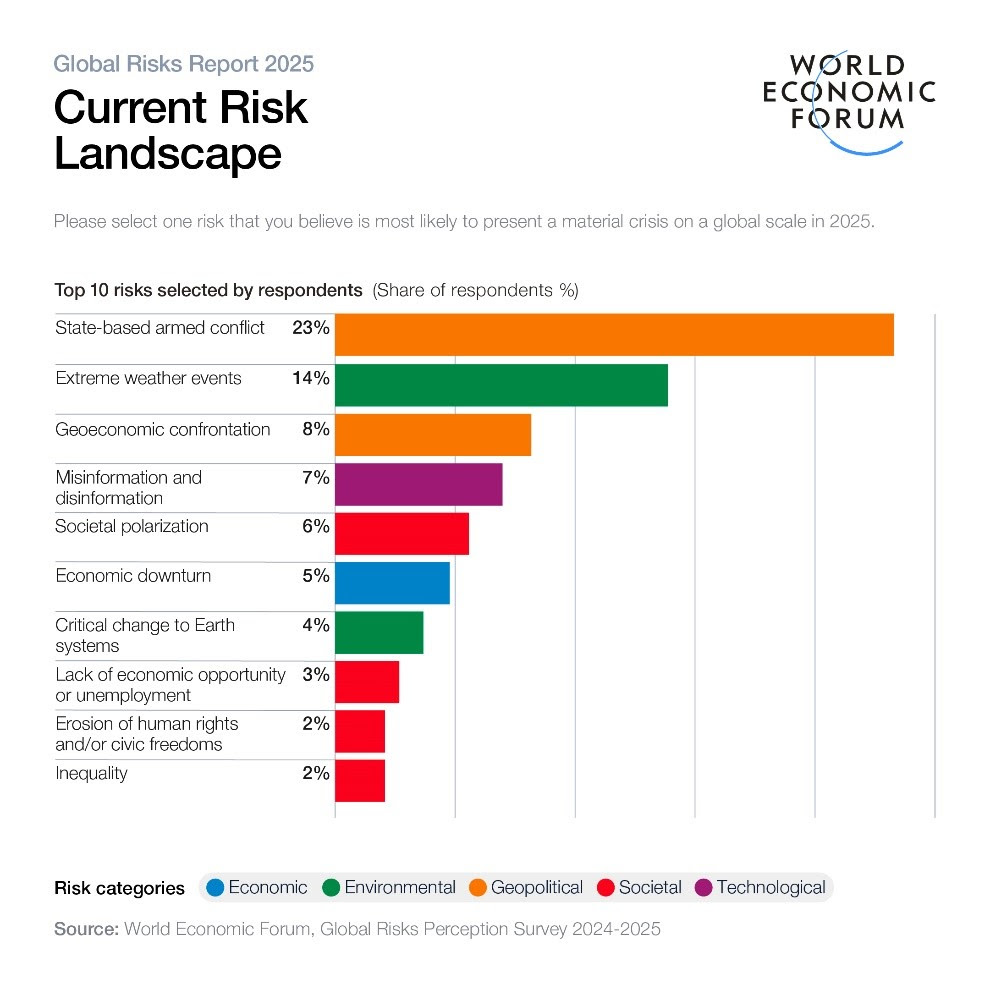 WEF Global Risks Report: Current Risk Landscape horizontal graph